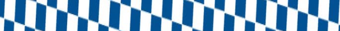 Strap White/Blue Check